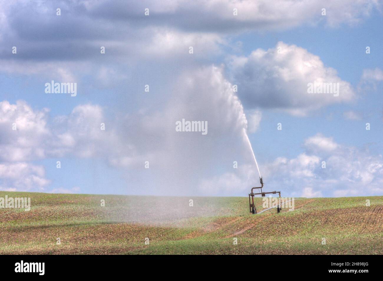 Aufgrund des Klimawandels müssen die Landwirte in Deutschland zunehmend mit längeren Dürrezeiten fertig werden. Stockfoto
