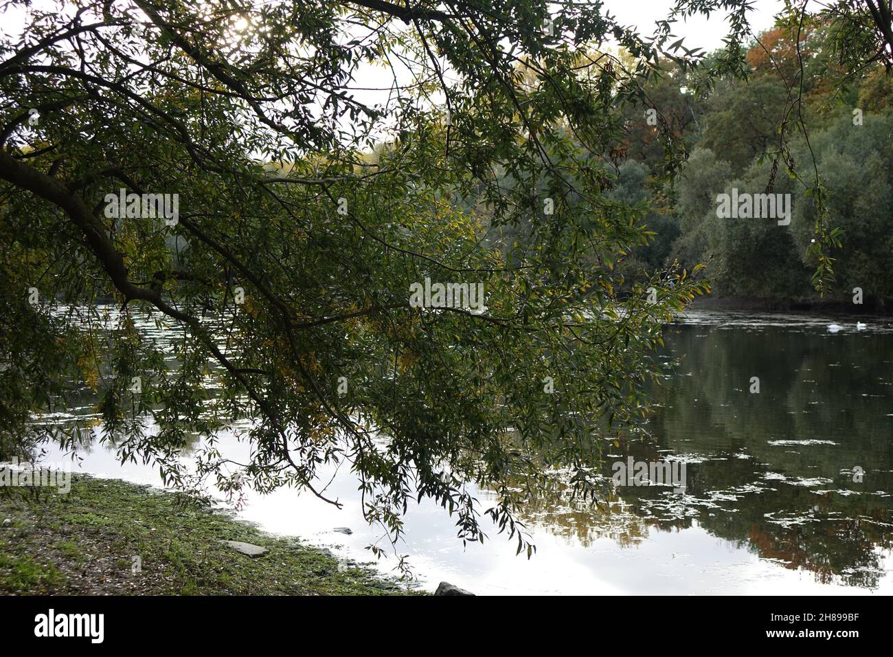 Blaue Adria Erholungsgebiet und natürlicher Lebensraum an einem Herbsttag, Altrip, Rheinland-Pfalz, Deutschland Stockfoto