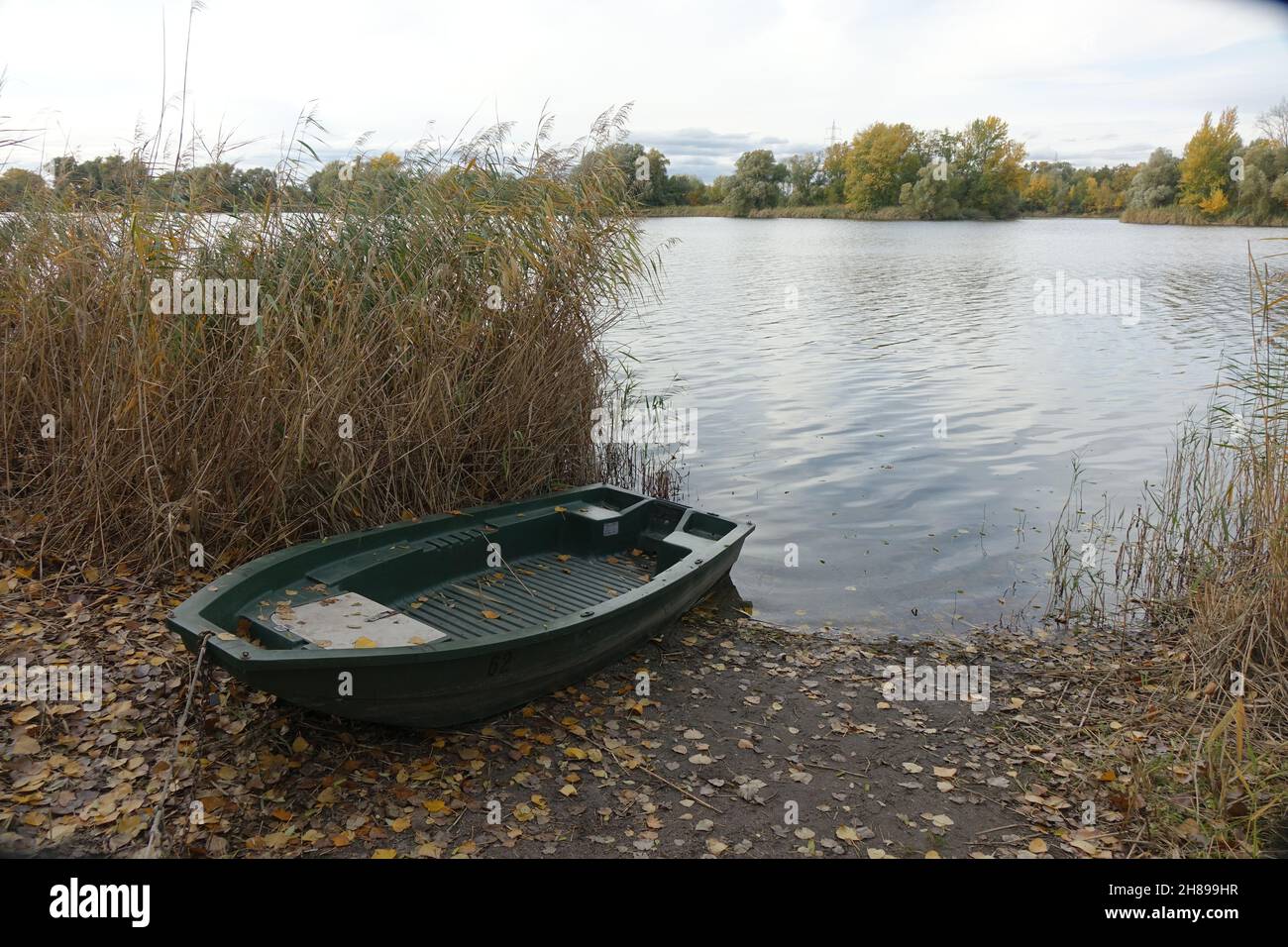 Bunte Boote, die an einem Herbsttag am Ufer des Erholungsgebiets Blaue Adria und natürlichen Lebensraums, Altrip, Rheinland-Pfalz, Deutschland, festgebunden sind Stockfoto