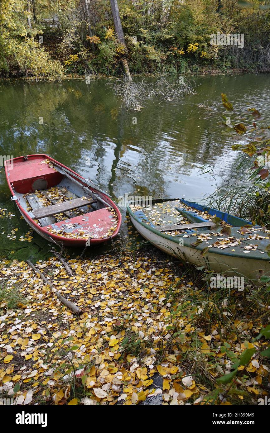 Bunte Boote, die an einem Herbsttag am Ufer des Erholungsgebiets Blaue Adria und natürlichen Lebensraums, Altrip, Rheinland-Pfalz, Deutschland, festgebunden sind Stockfoto