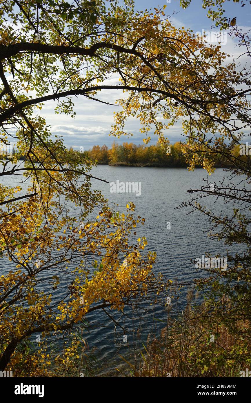 Blaue Adria Erholungsgebiet und natürlicher Lebensraum an einem Herbsttag, Altrip, Rheinland-Pfalz, Deutschland Stockfoto