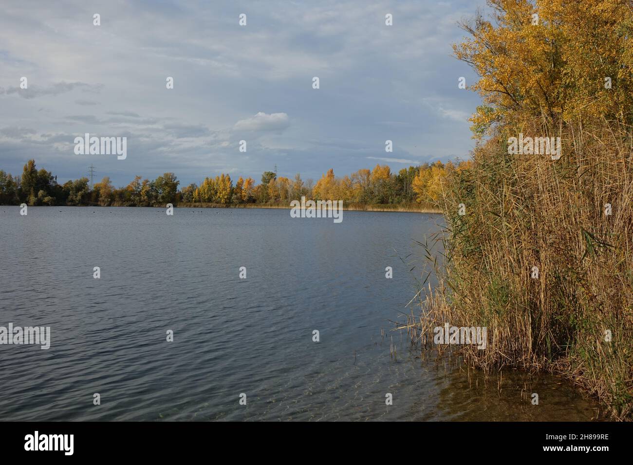Blaue Adria Erholungsgebiet und natürlicher Lebensraum an einem Herbsttag, Altrip, Rheinland-Pfalz, Deutschland Stockfoto