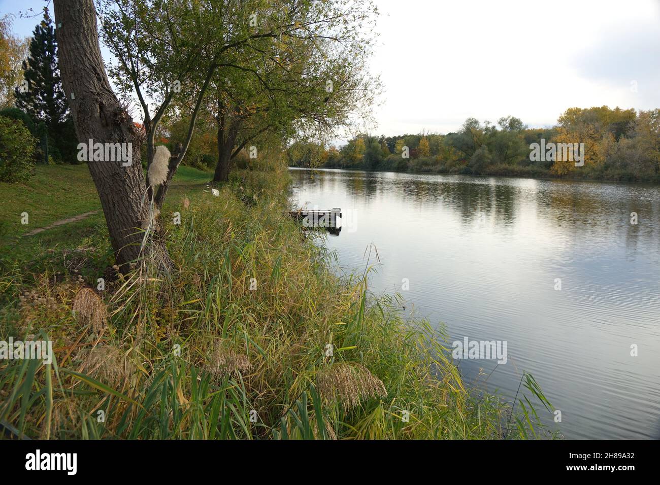 Blaue Adria Erholungsgebiet und natürlicher Lebensraum an einem Herbsttag, Altrip, Rheinland-Pfalz, Deutschland Stockfoto