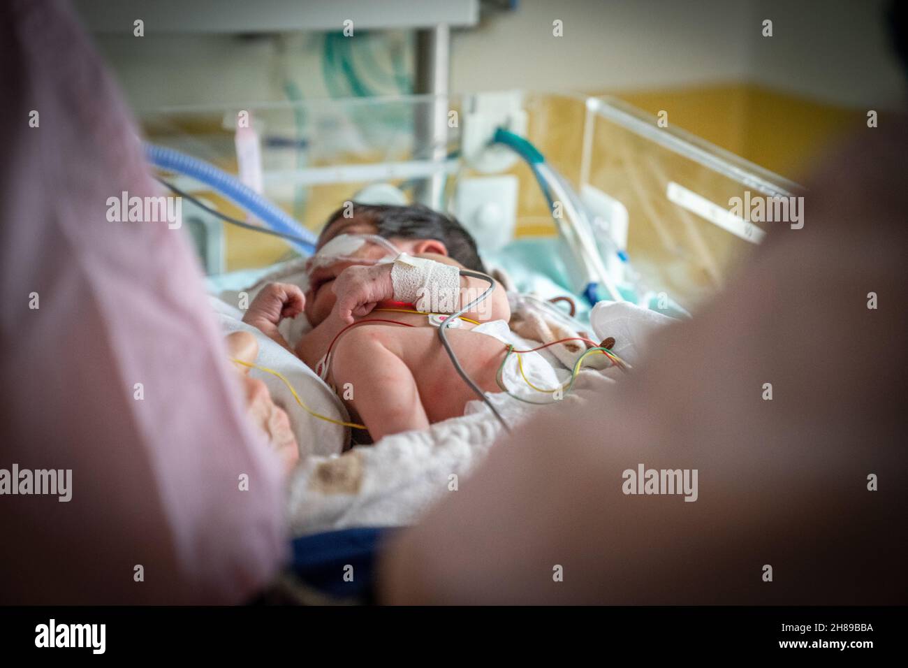 Neugeborene Stockfoto