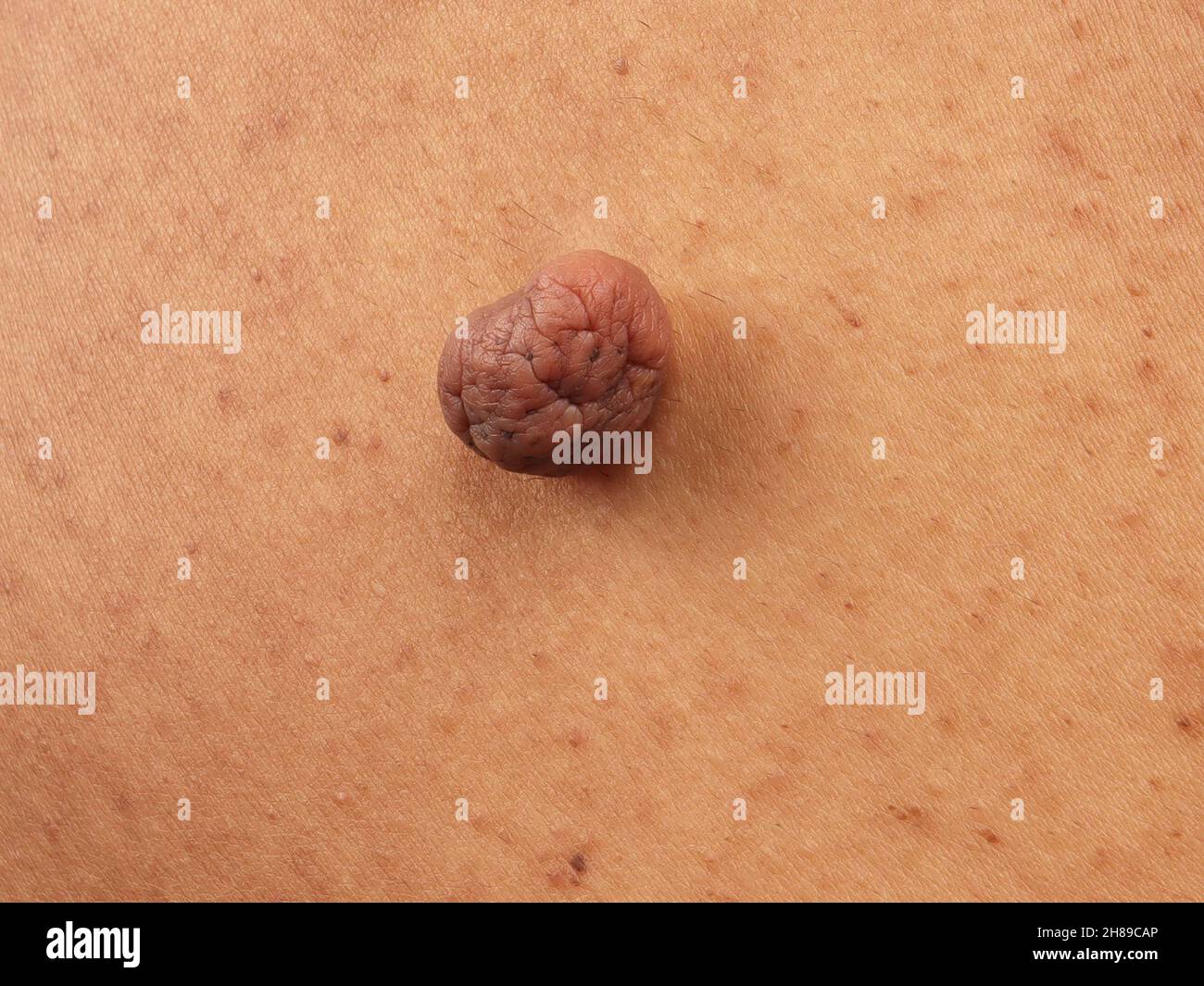 Weichspenpendel Stockfoto