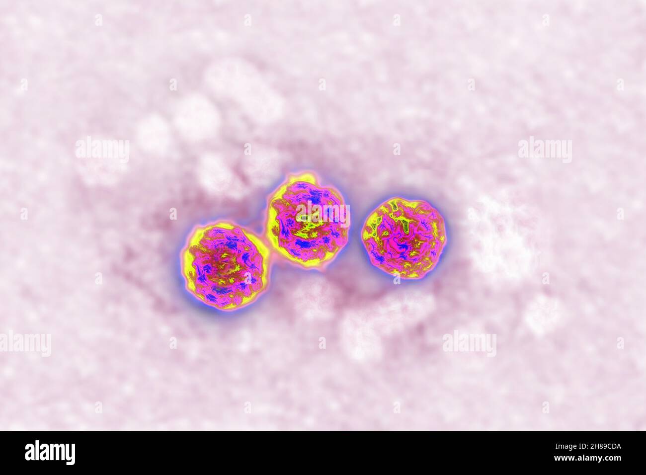 Hepatitis-B-Virus Stockfoto
