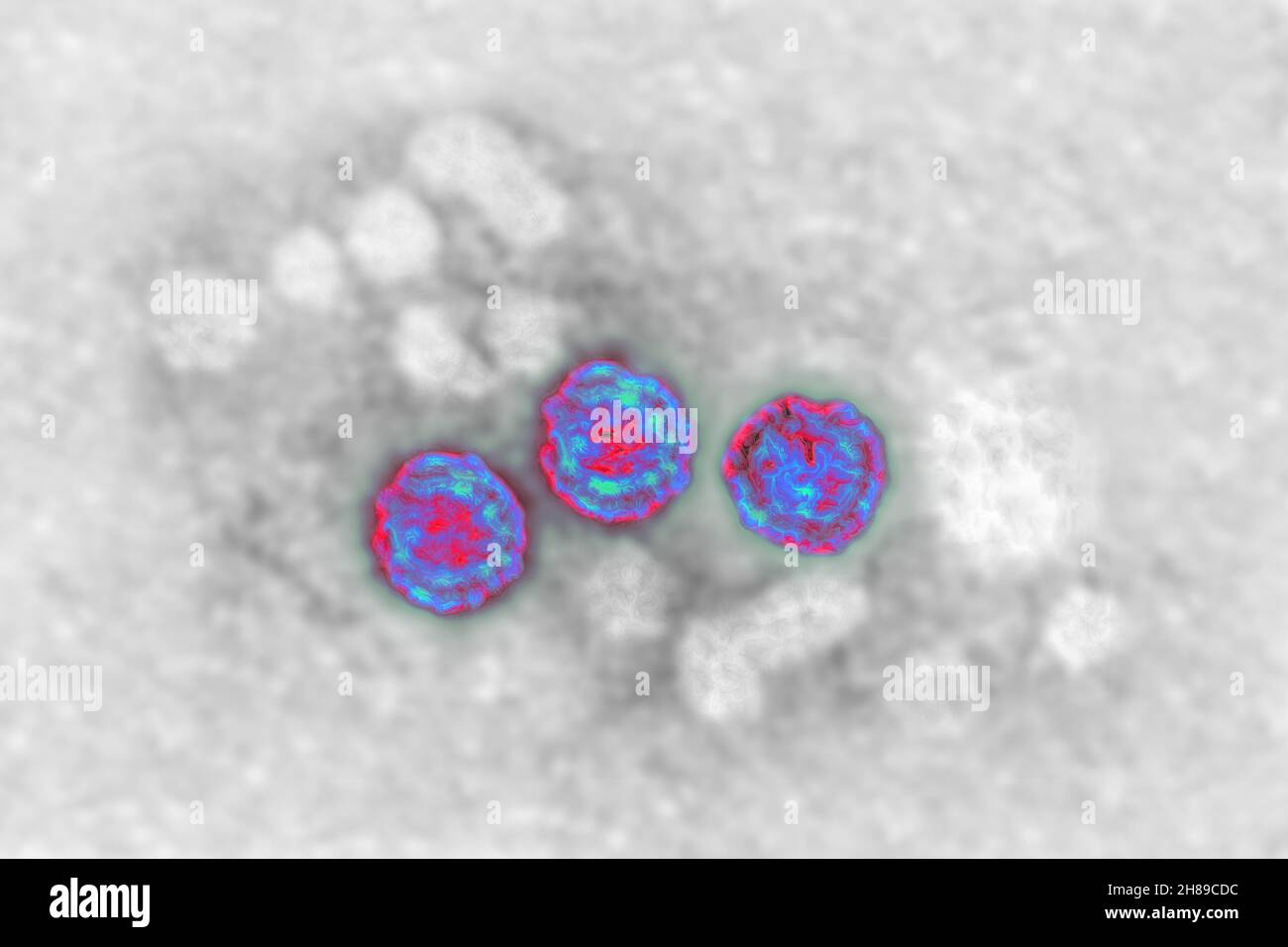 Hepatitis-B-Virus Stockfoto