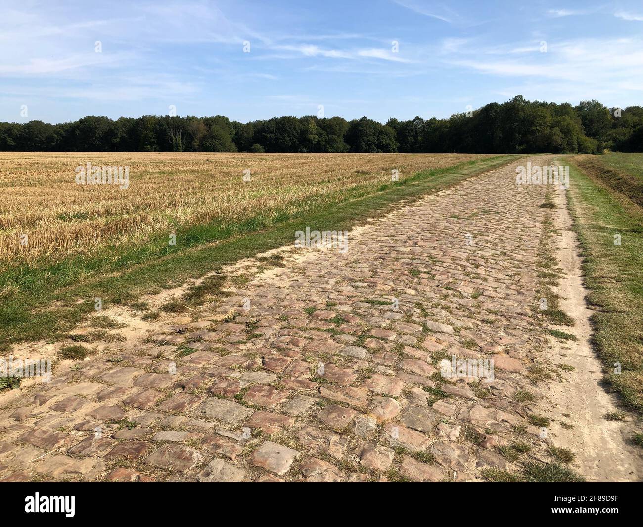 Gepflasterter Weg in der picardie Stockfoto