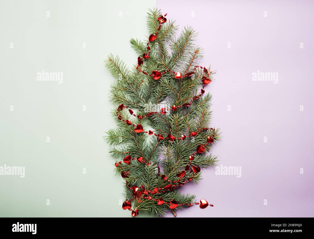 Weihnachtskonzept, grüne Kiefernzweige mit kleinen roten Herzen Dekor auf einem hellgrünen und lila Hintergrund. Leerer Raum für Text. Stockfoto
