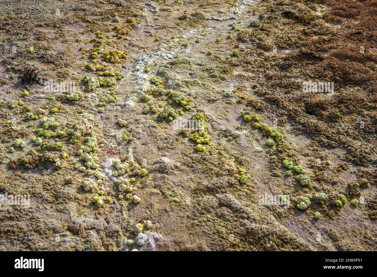 Verschmutzung des Geländes durch giftige Abfälle aus dem Kupferbergbau Stockfoto