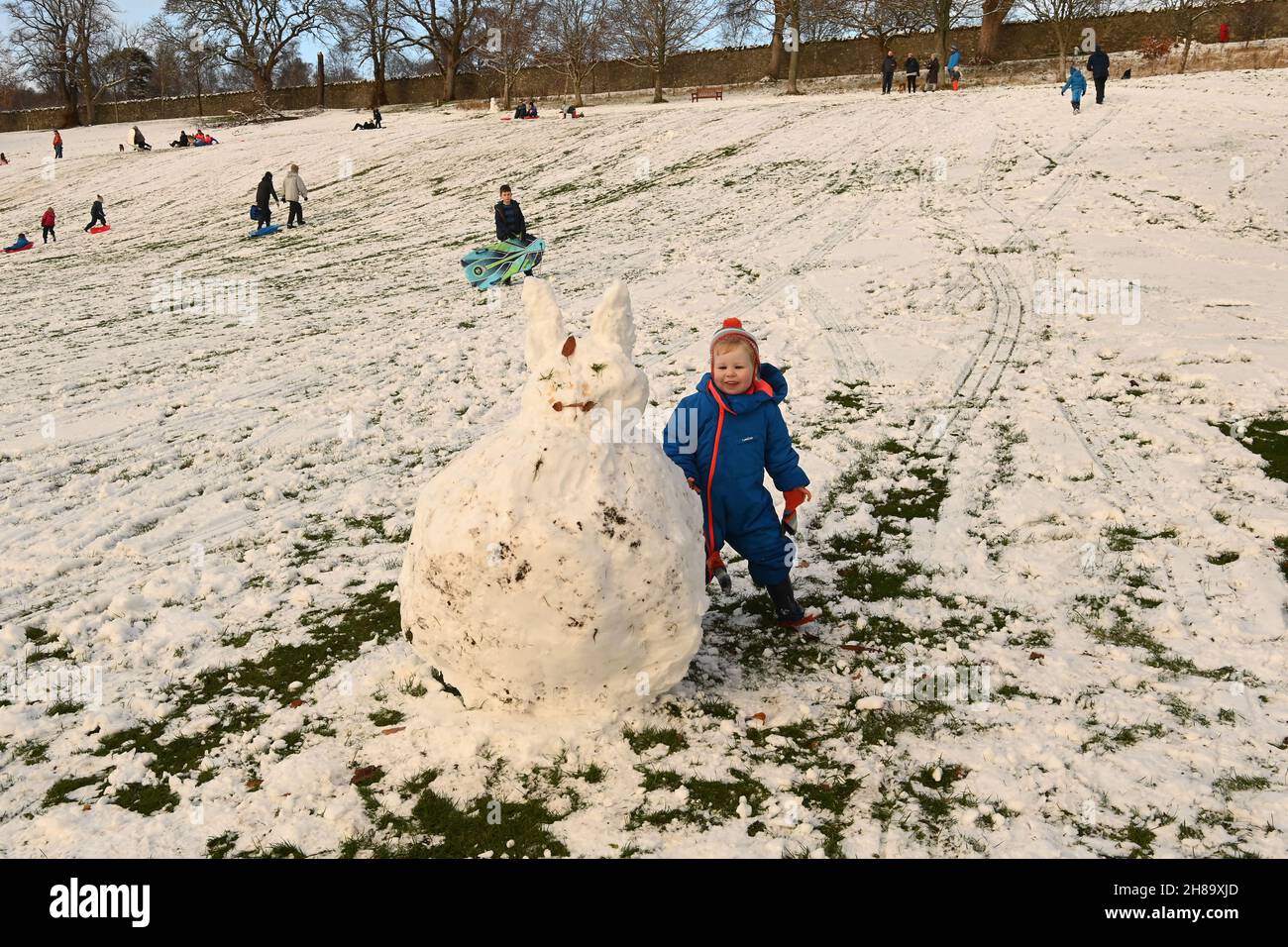 Peebles, Scottish Borders, UK 28th Nov 21 ein Peebles Youngster freut sich über die schottischen Grenzen, als er den im Hay Lodge Park gebauten Snow Bunny bewundert, während wir in die Weihnachtszeit hüpfen.Quelle: eric mccowat/Alamy Live News Stockfoto