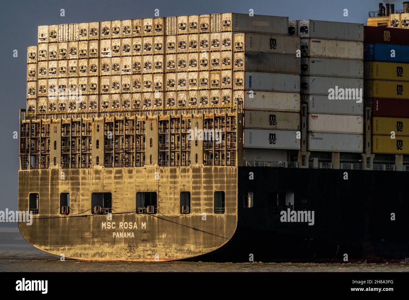 Kühlcontainer an Bord des in Panama registrierten Containerschiffes MSC Rosa M, das nach Felixstowe Port UK eindringt Stockfoto