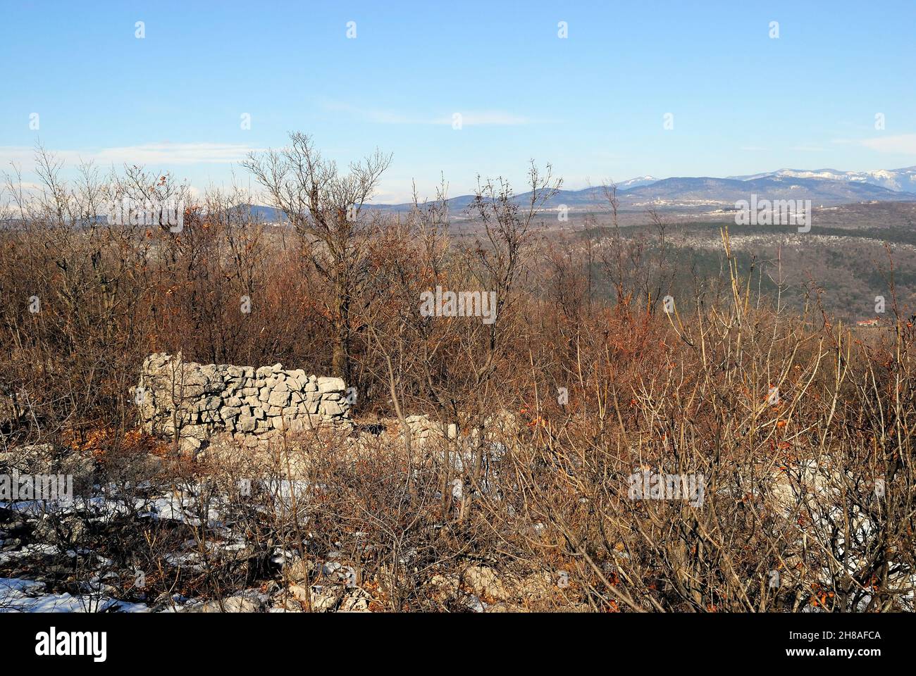 Friaul Julisch Venetien, Italien. Das Karstplateau von Triest. Der Berg Hermada (auf Slowenisch Grmada) ist ein niedriger Hügel an der Grenze zwischen Italien und Slowenien. Im Laufe des Ersten Weltkrieges war es ein unausschüchtisches Bollwerk der österreichisch-ungarischen Armee, das Triest von seiner Spitze verteidigte. Die österreichisch-ungarischen Rücken Linien : einige Ruinen von Barraken. Die italienischen Truppen versuchten wiederholt, den Berg Hermada ohne Erfolg zu erobern. Stockfoto