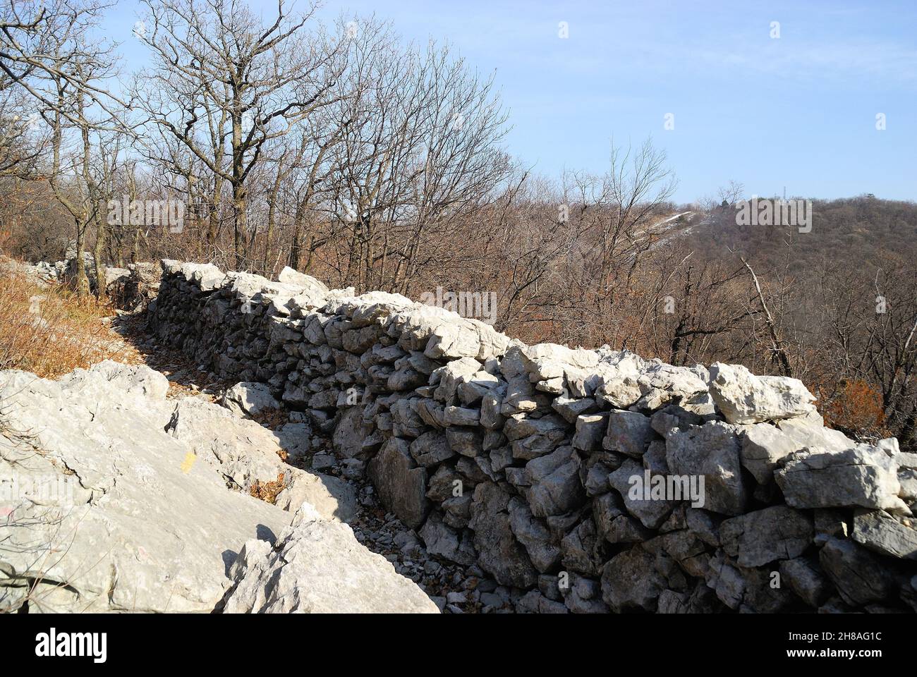 Friaul Julisch Venetien, Italien. Das Karstplateau von Triest. Der Berg Hermada (auf Slowenisch Grmada) ist ein niedriger Hügel an der Grenze zwischen Italien und Slowenien. Im Laufe des Ersten Weltkrieges war es ein unausschüchtisches Bollwerk der österreichisch-ungarischen Armee, das Triest von seiner Spitze verteidigte. Ein Steingraben. Stockfoto