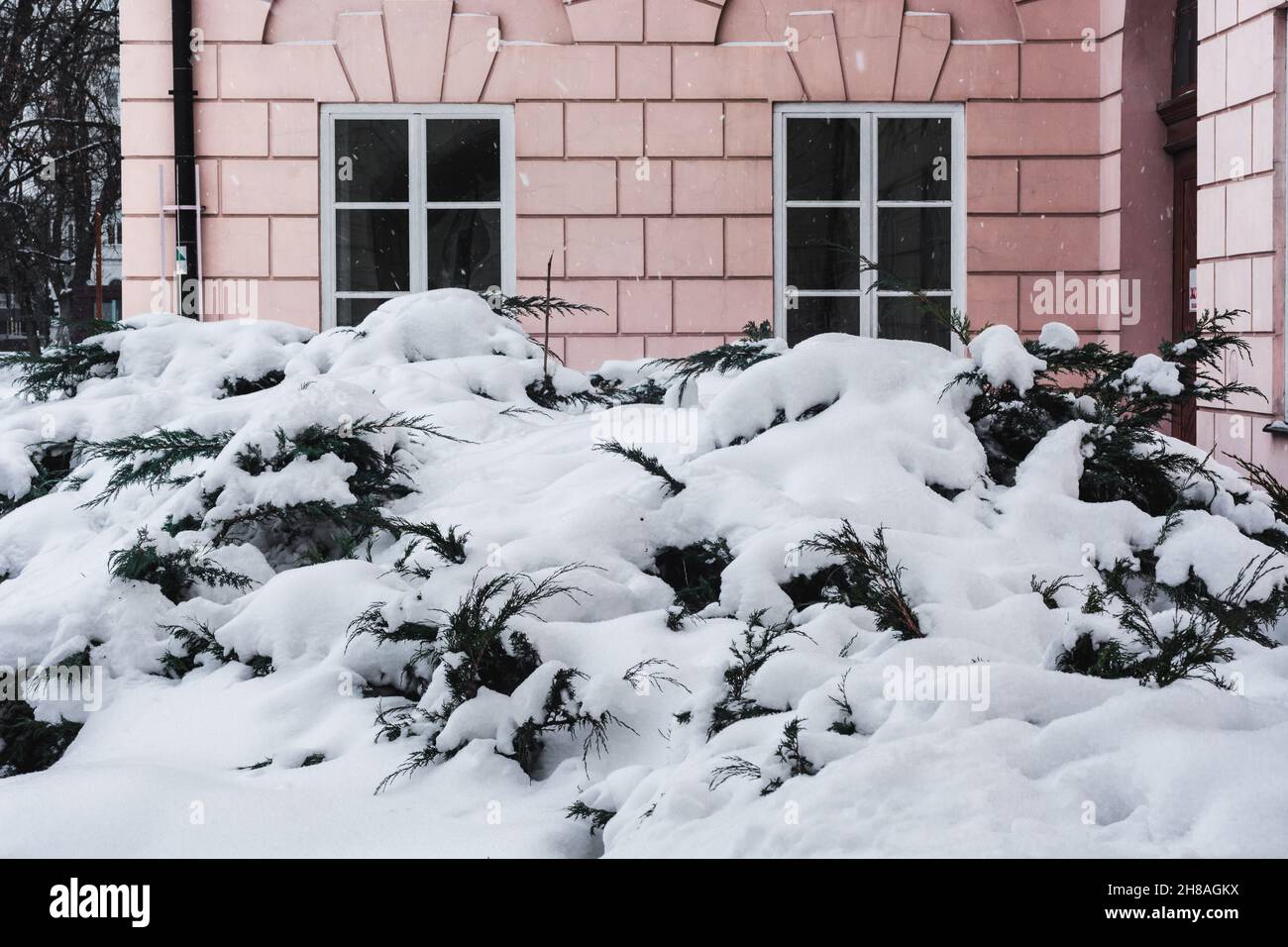 Lublin, Polen - 13. Februar 2021: Gebäude am Plac Litewski mit schneebedeckten Büschen Stockfoto