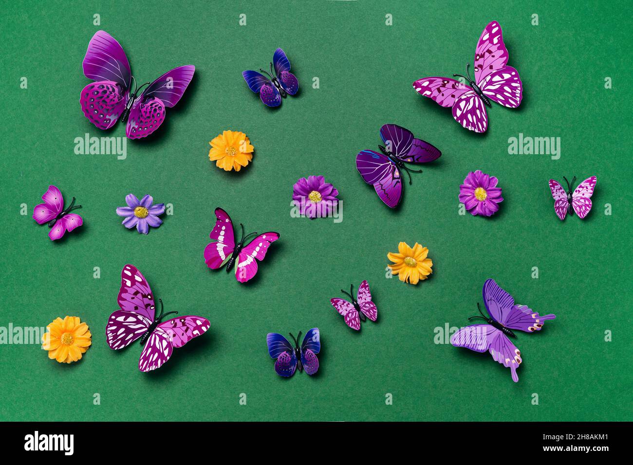 Lebendige violette Schmetterlinge auf grünem Hintergrund Stockfoto