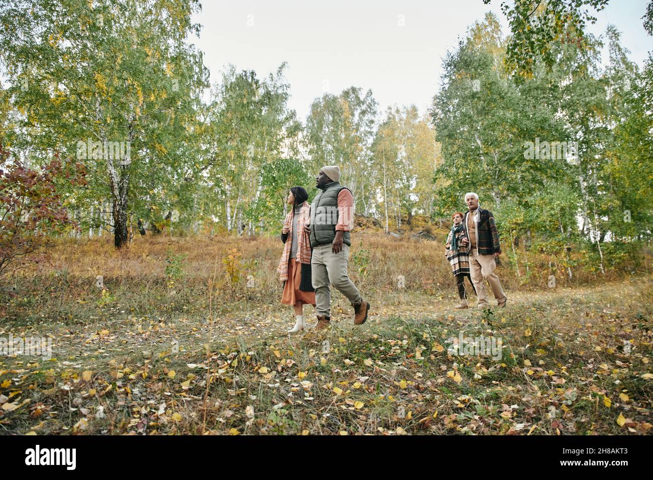 Junge und ältere Paare in stilvoller, warmer Casualwear, die sich im Wald zwischen Bäumen mit grünen und gelben Blättern entlang der Straße bewegen Stockfoto