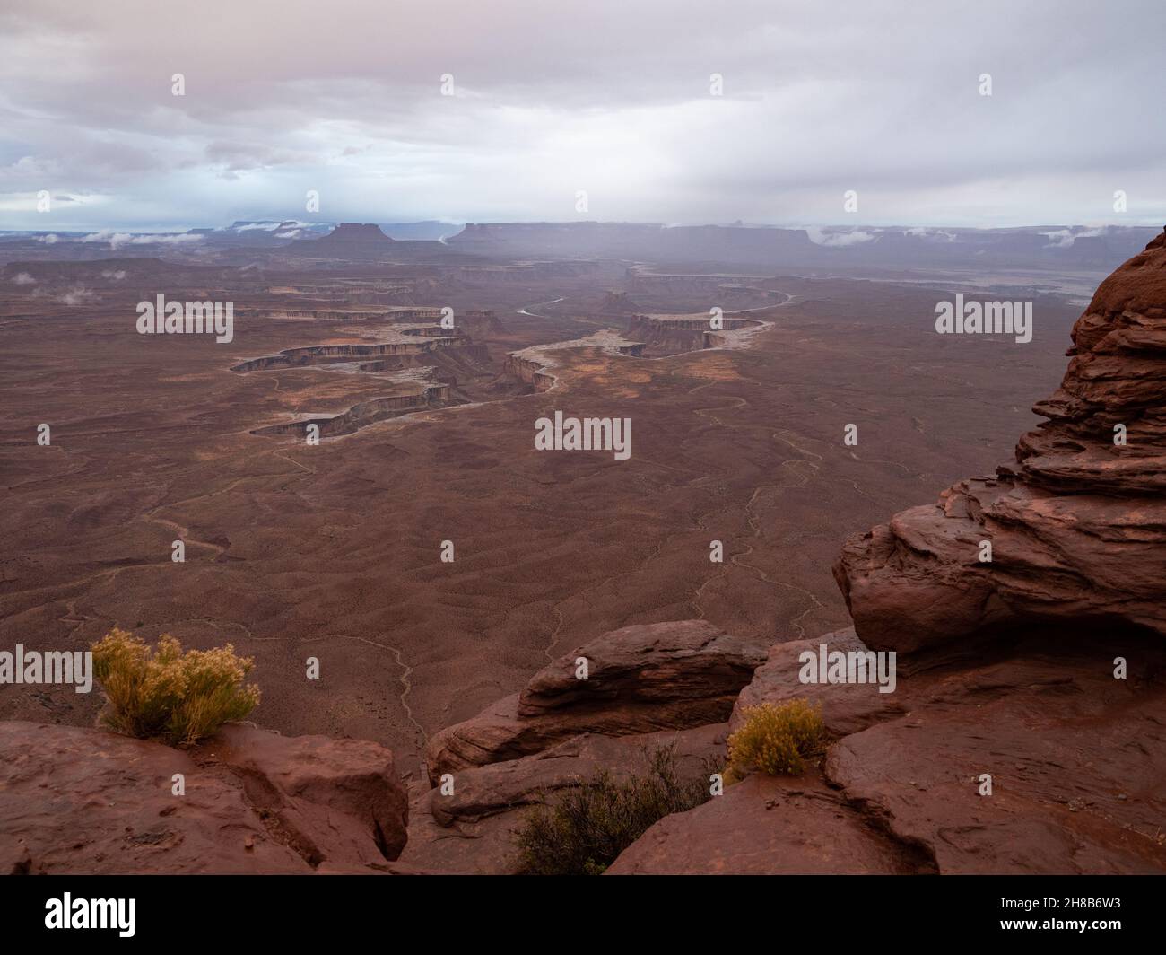 Green River Overlook in the Islands im Sky District des Canyonlands National Park, Utah. Fotografiert an einem regnerischen Tag mit nassem Sandstein und Kaninchen Stockfoto