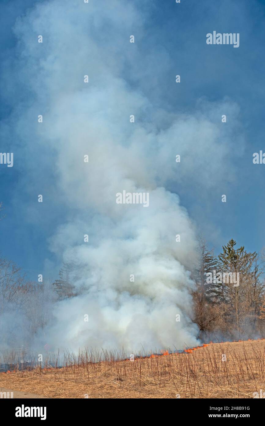 Dramatischer Rauch, der aus einem Räucherbrand im Spring Valley Nature Center in Schaumburg, Illinois, aufsteigt Stockfoto