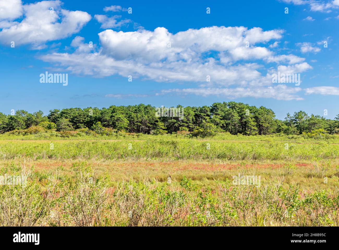 Landschaft in Napeague Stretch, Amagansett Stockfoto