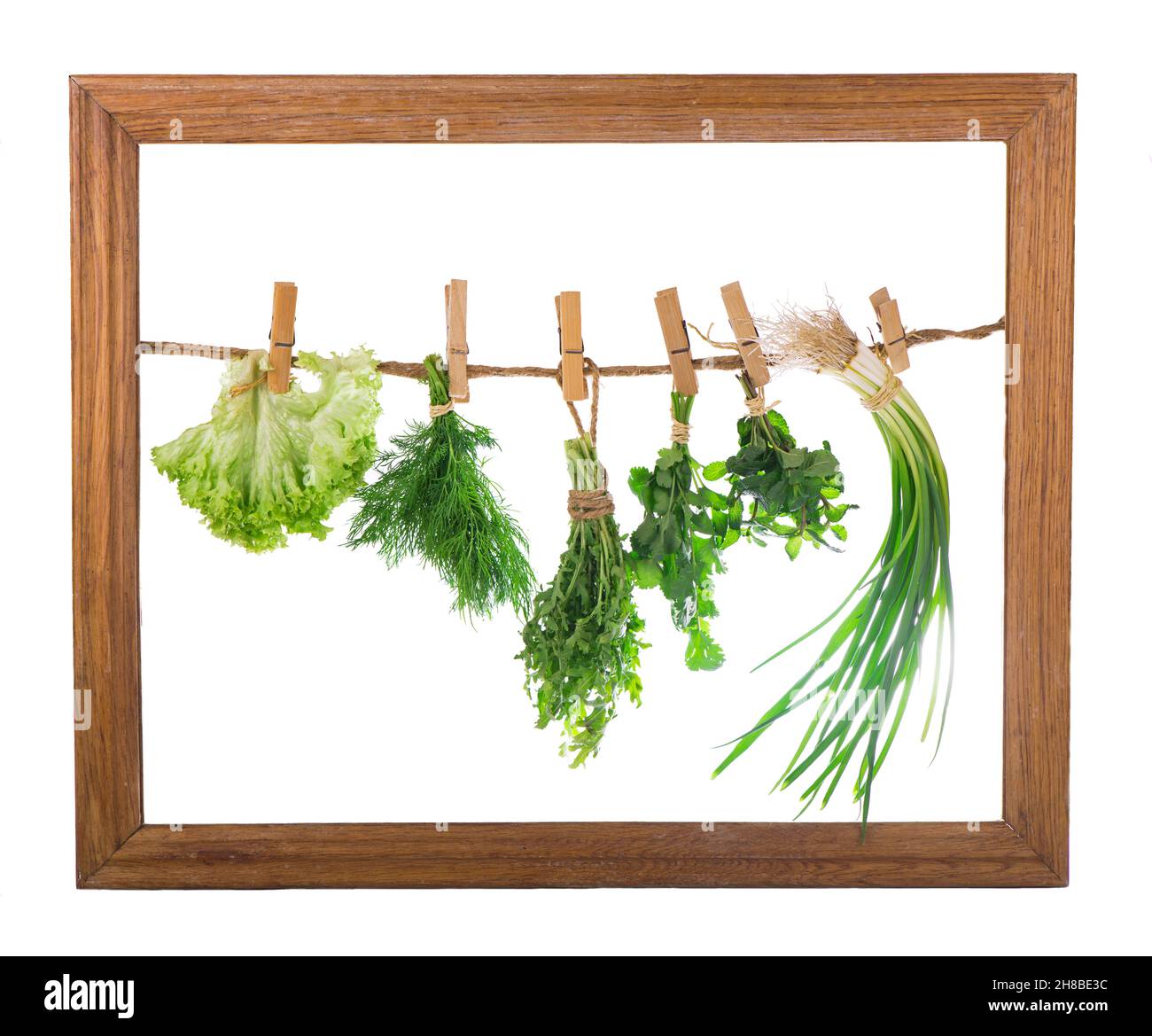 Set von Gewürzkräutern isoliert auf weißem Hintergrund Trauben von Thymian, Basilikum, Oregano, Petersilie Stockfoto