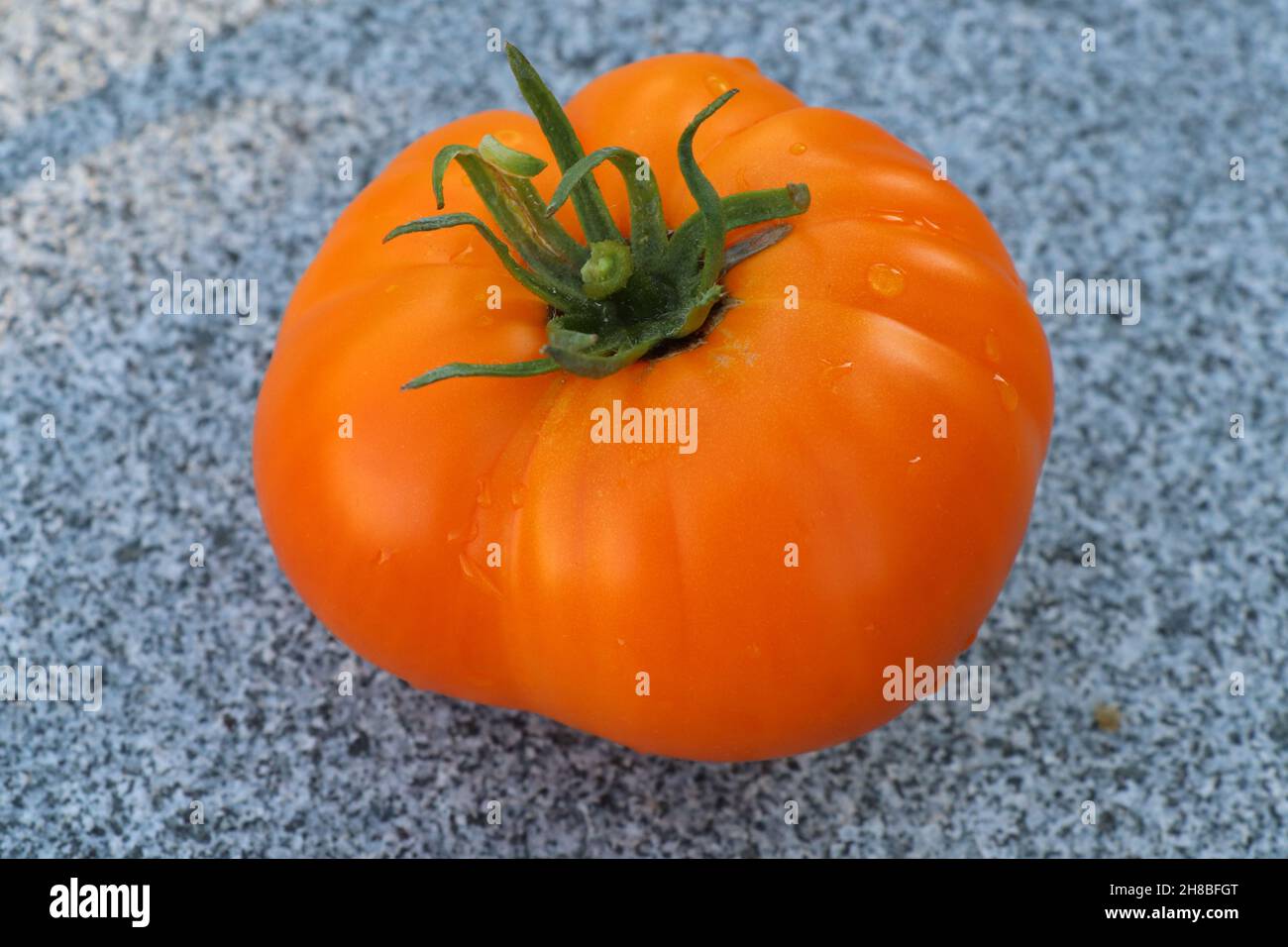 Gelbe Reife Tomate. Eine Frische Orange Tomate. Stockfoto