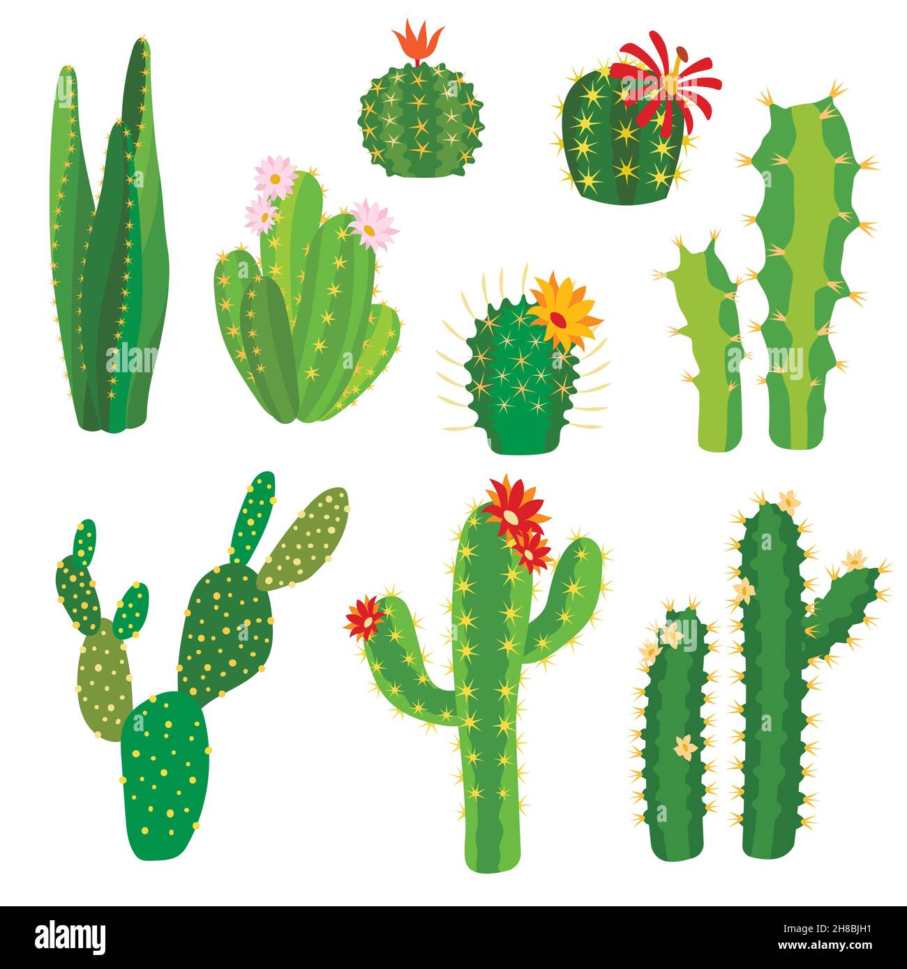 Kaktusblüte. Helle Kakteen Aloe Blätter exotische Kakteen Pflanzen Sommer Wüste tropische Flora Cartoon botanische Sammlung Stock Vektor
