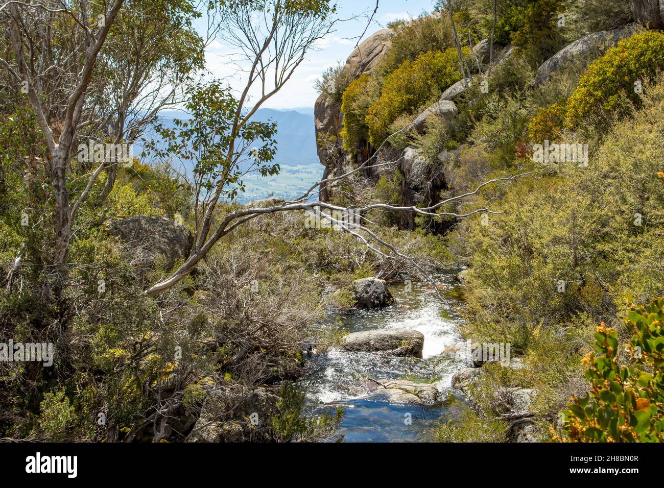 Crystal Brook über Crystal Falls, Mt Buffalo, Victoria, Australien Stockfoto