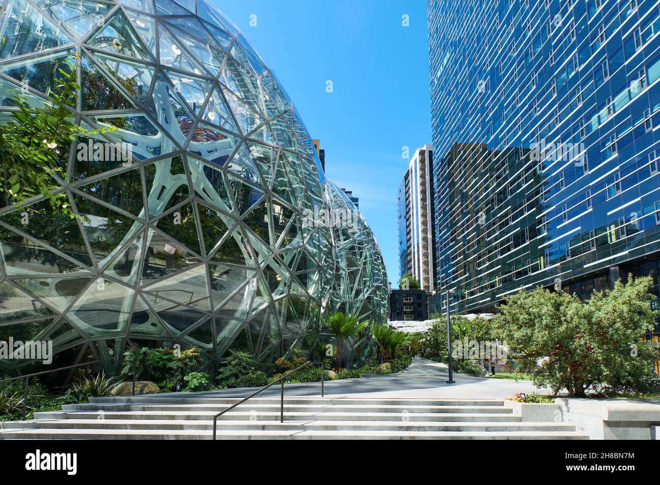 Park in Seattle in der Nähe von Amazon Spheres Büro Stockfoto