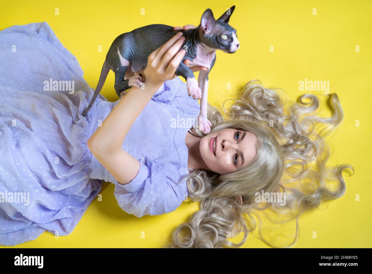 Cosplayer Elfe junge Hündin in blauem Kleid auf gelbem Hintergrund liegend, hält Sphinx Katze über ihren Kopf, lächelt und schaut sie an Stockfoto