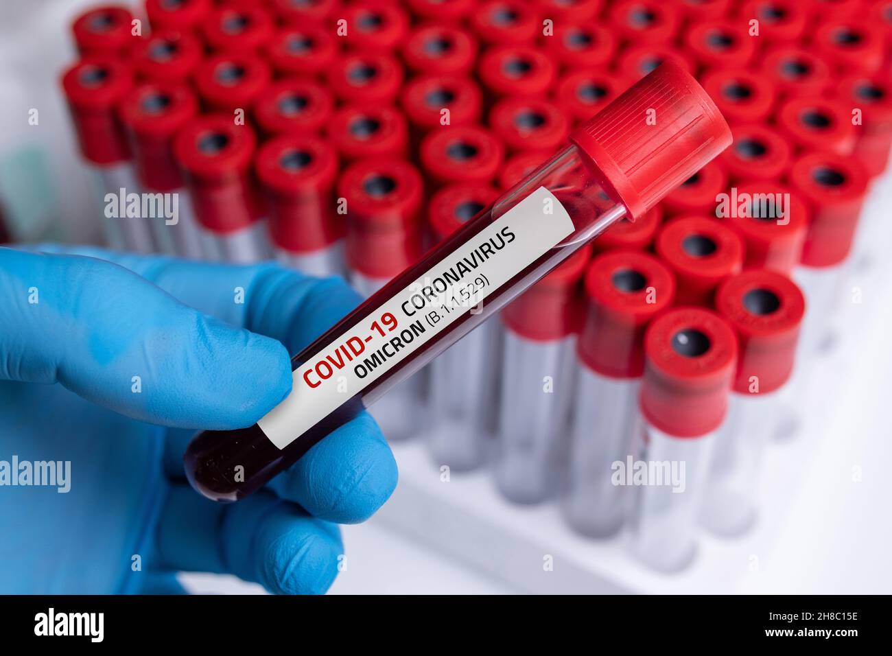 Arzt mit Blutprobe der Covid-19 Omicron B.1.1.529-Variante und allgemeinen Daten von Covid-19 Coronavirus-Mutationen. Stockfoto Arzt mit Blutprobe der Covid-19 Omicron B.1.1.529-Variante und allgemeinen Daten von Covid-19 Coronavirus-Mutationen. Stockfoto
