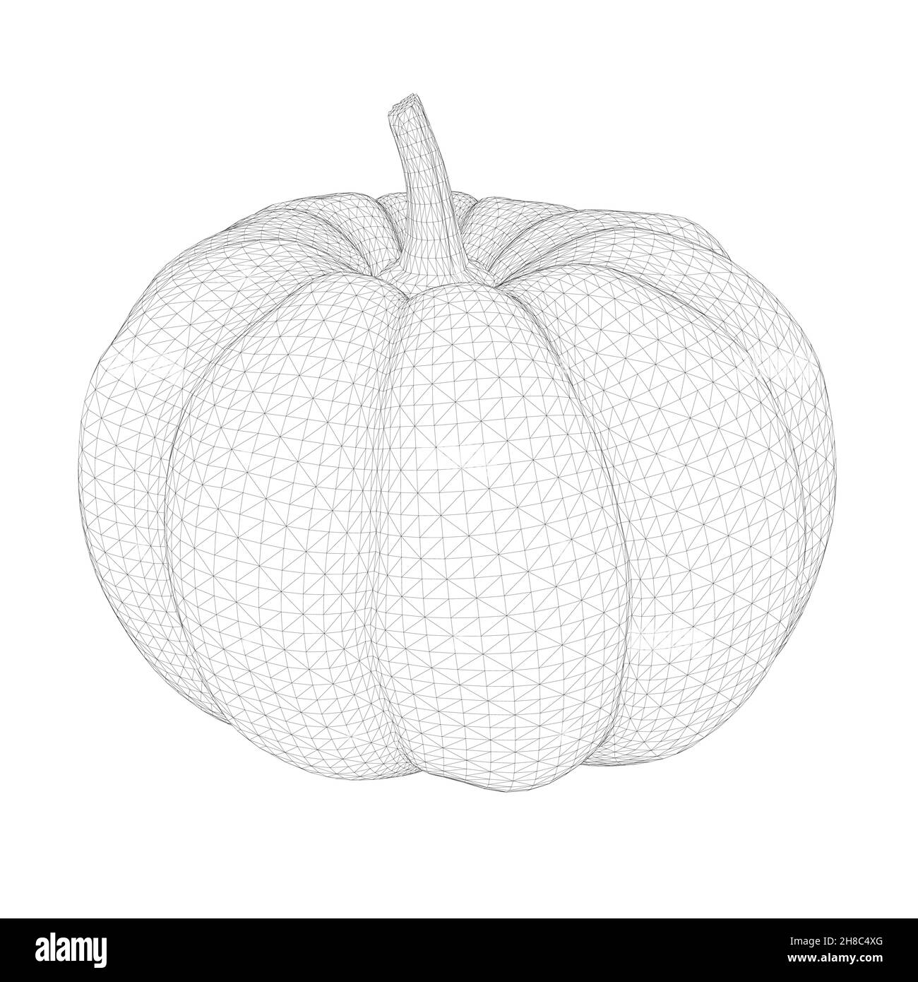 Kürbisrahmen aus schwarzen Linien isoliert auf weißem Hintergrund. 3D. Vektorgrafik. Stock Vektor