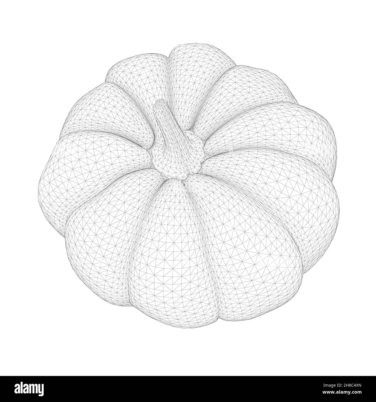 Kürbisrahmen aus schwarzen Linien isoliert auf weißem Hintergrund. 3D. Vektorgrafik. Stock Vektor