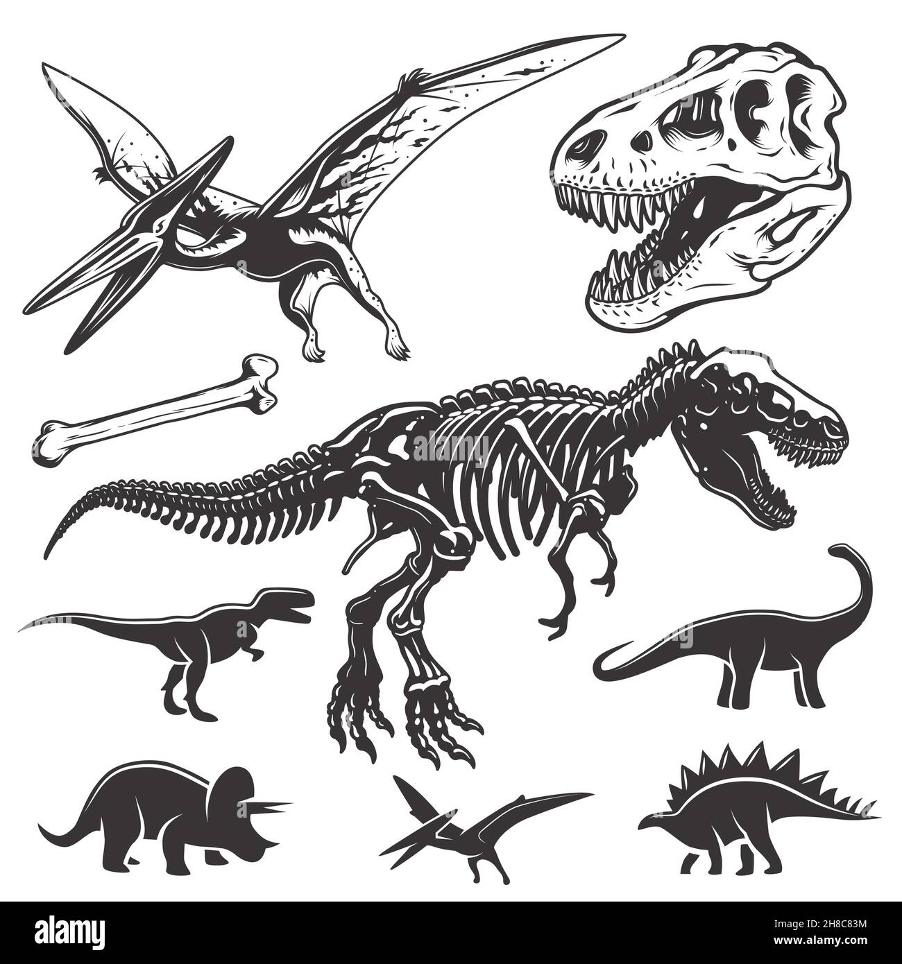 Set von monochromen Dinosauriern. Elemente der Archäologie. T-rex Schädel und Skelett. Dinosaurier-Symbole. Stock Vektor