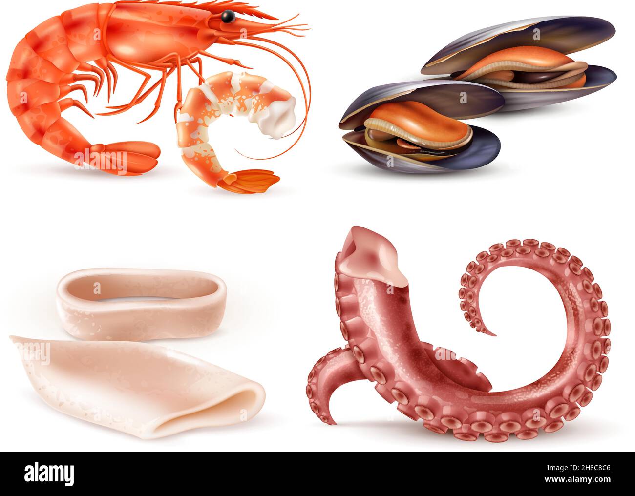 Meeresfrüchte Meeresfrüchte Meeresfrüchte Cocktail realistische Nahaufnahme Elemente mit Garnelen Muscheln Tintenfisch Teile Oktopus Tentakeln isoliert Vektor-Illustration Stock Vektor