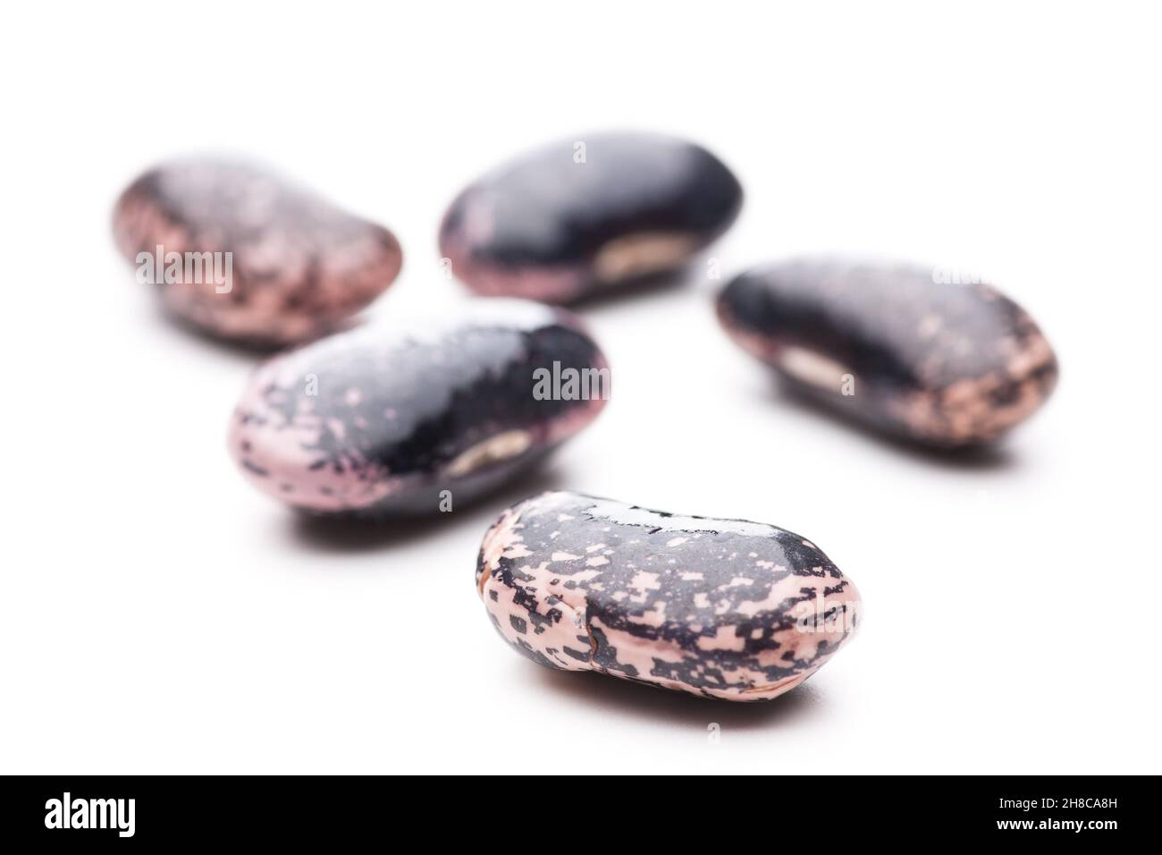 Gruppe von mehreren Bohnen auf weißem Hintergrund isoliert Stockfoto