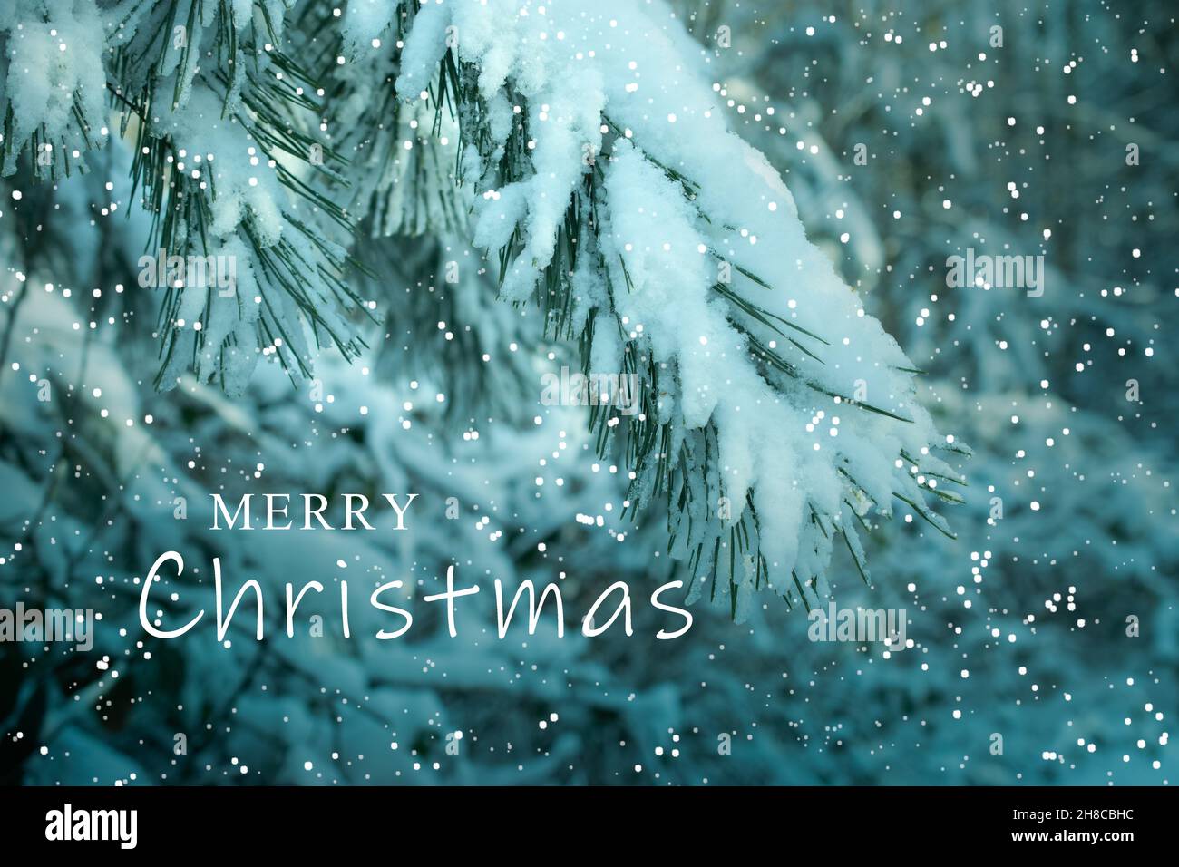 Weihnachtskarte mit Schneestäumen. Stockfoto