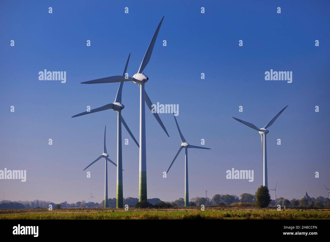 Windräder auf Sumpfland, Deutschland, Niedersachsen, Ostfriesland, Krummhoern Stockfoto