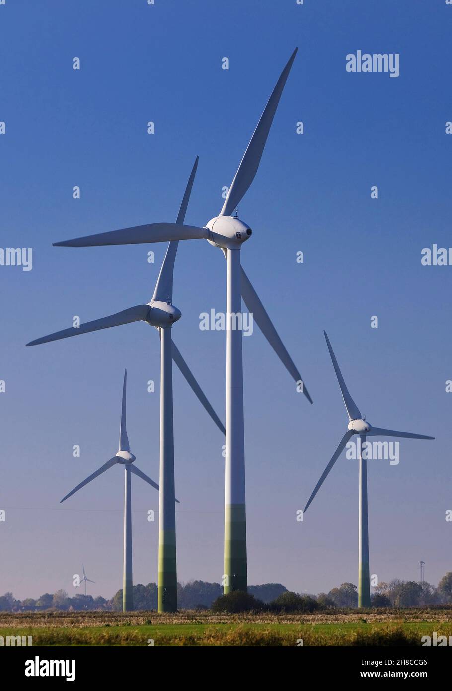 Windräder auf Sumpfland, Deutschland, Niedersachsen, Ostfriesland, Krummhoern Stockfoto