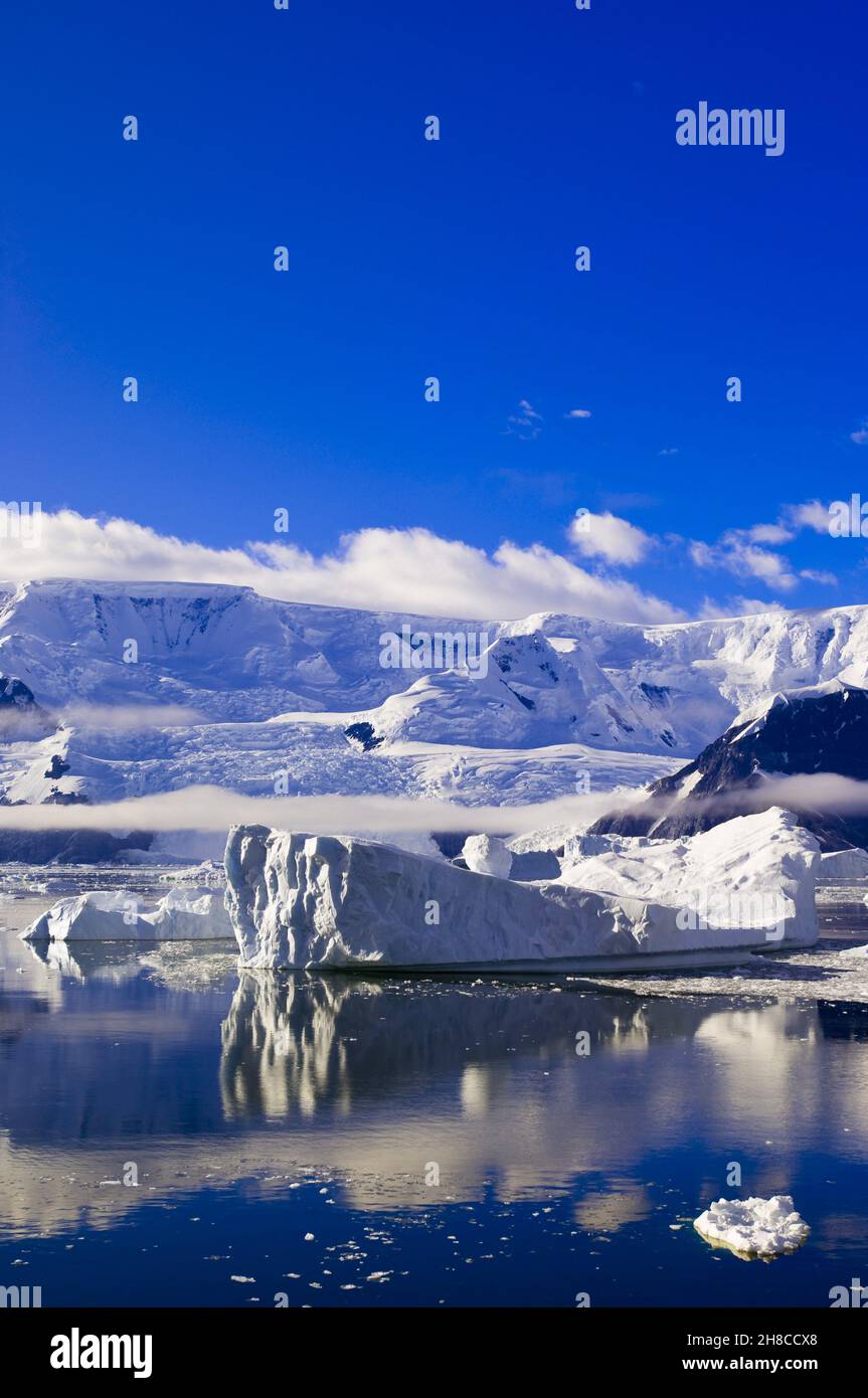 Neko Harbour an der Westküste von Graham Land, Antarktis, Puerto Neko Stockfoto