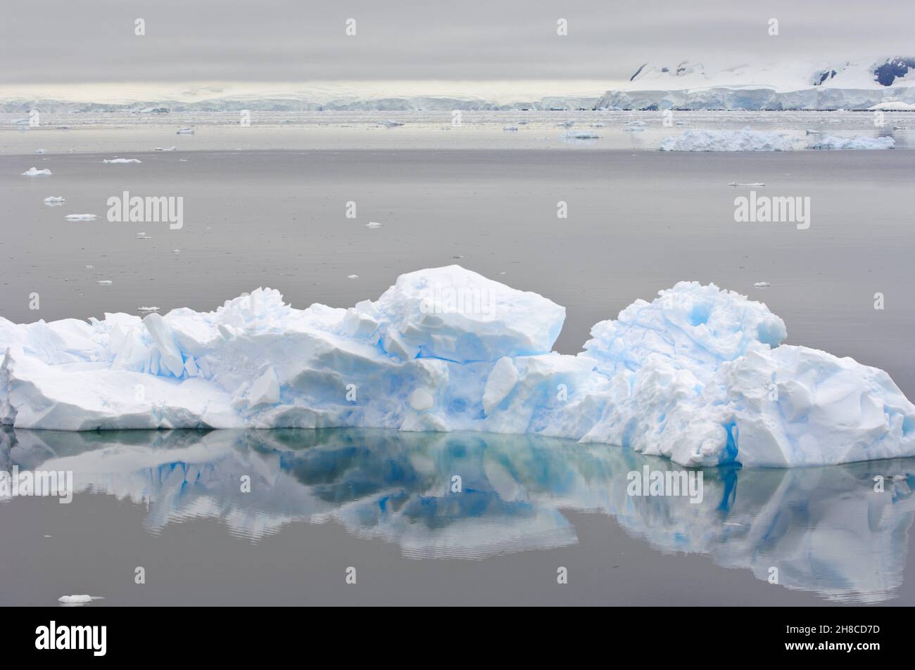 Eisberg im Hafen von Neko, Puerto Neko, Antarktis Stockfoto