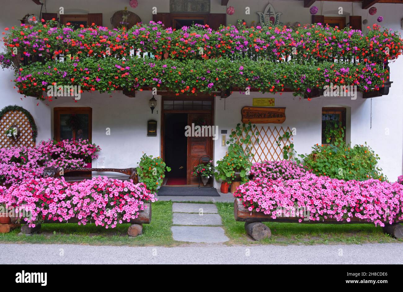 Wunderschöne blühende Geranien und Petunien auf einem Haus, Italien, Aostatal, Gressoney Stockfoto