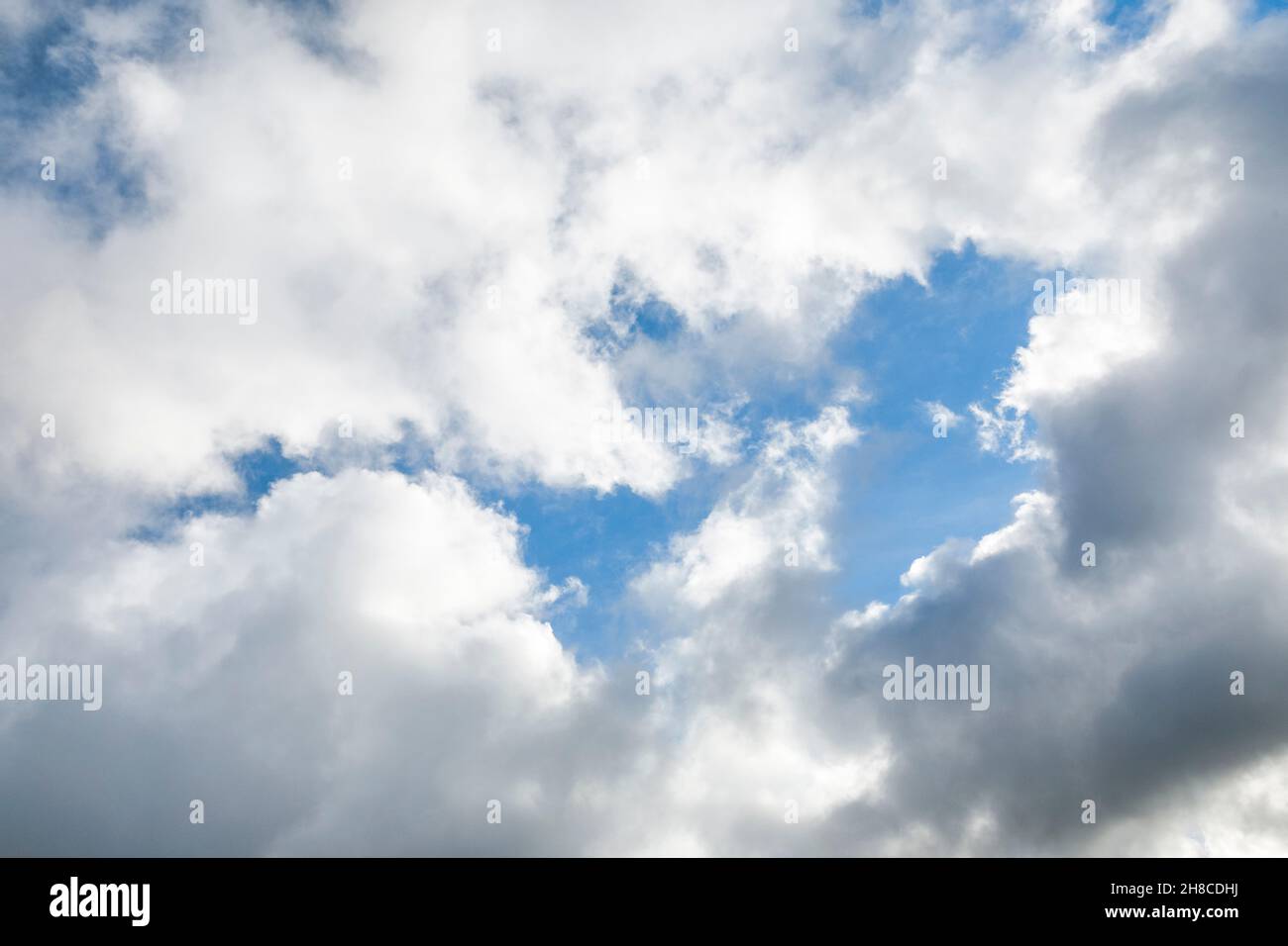 Stratokumuluswolken und blaue Himmelsfenster bilden während des Föhnsturms in der Schweiz spektakuläre Wolkenformationen am Himmel Stockfoto