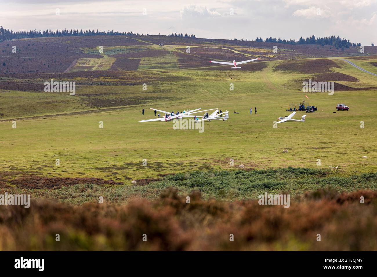 Segelflugzeuge im Midland Gliding Club on the Heathland, Long Mynd, Shropshire Hills, Gebiet von natürlicher Schönheit, England Stockfoto