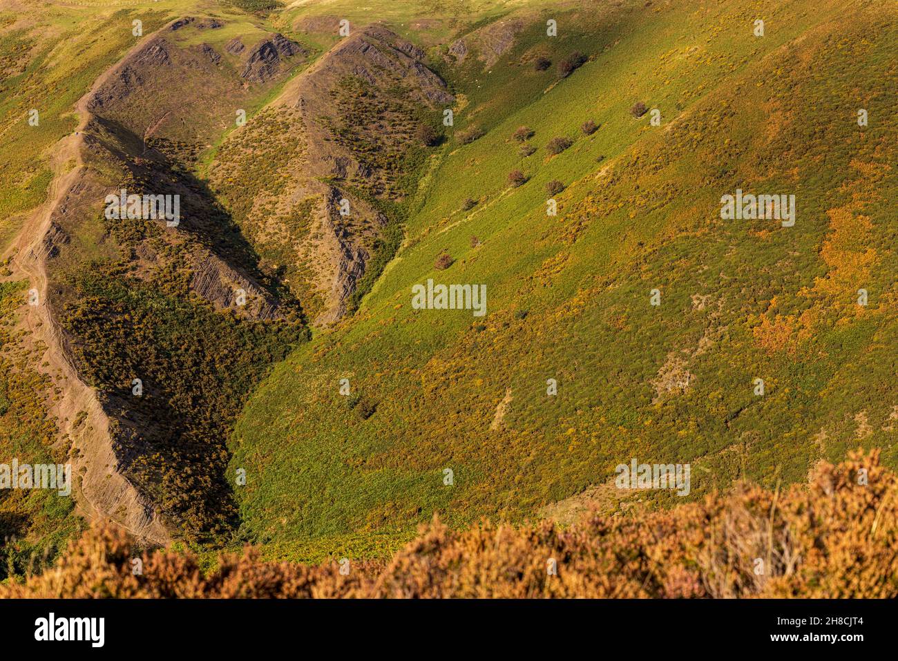 Abstrakte Landschaftsdetails der Long Mynd, Shropshire Hills, Hänge und Täler, Naturgebiet, England Stockfoto