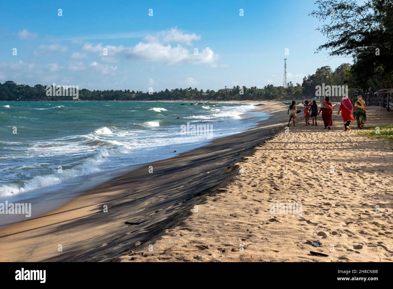 Sri Lanka, die Provinz d'Ampara, die Provinz Ampara, Pottuvil, ville, Staadt, Stadt, Arugam Bay, océan, Ozean, Ozean, palmiers, Palme Stockfoto