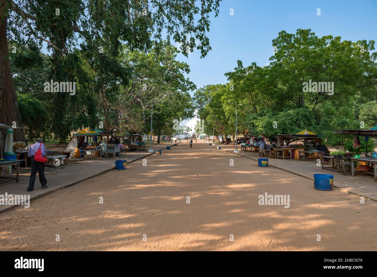 Sri Lanka, Provinz Uva, Kataragama, ville, Staadt, Stadt, Kiriweher Tempel, Tempel, bouddhiste, buddhistischer Tempel, Buddhistischer Tempel Stockfoto