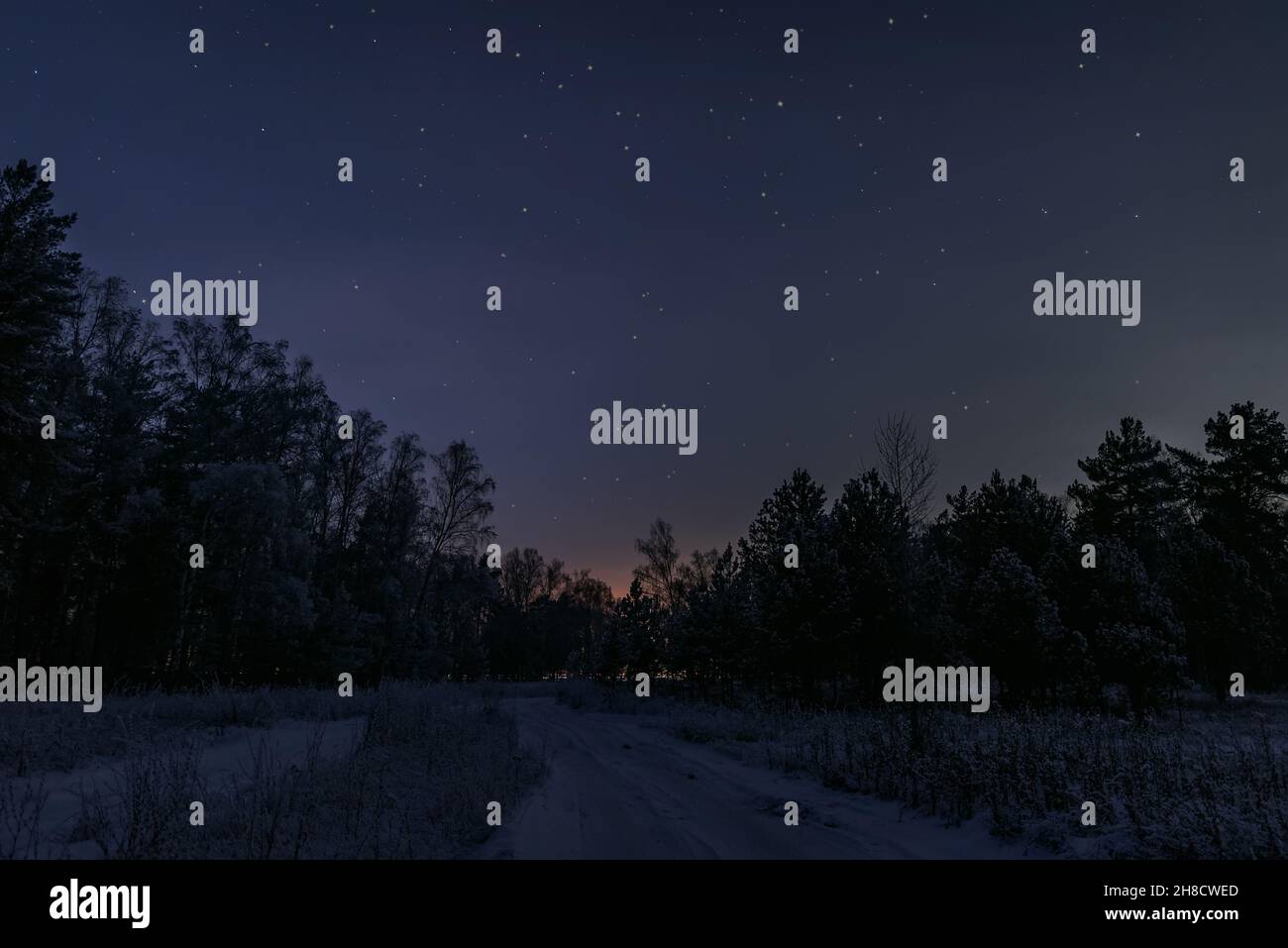 Wunderschöne nächtliche Winterlandschaft mit verschneiten Wäldern, Tannenbäumen, Schnee, Straßen und Sternen am dunklen Himmel Stockfoto