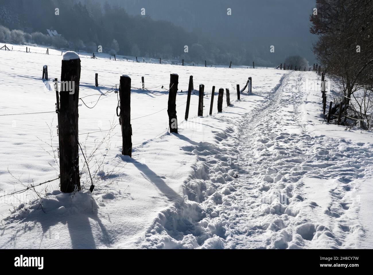 Radweg R1 im Winter, bei Gewissenruh, Wesertal, Weser-Hochland, Weserbergland, Hessen, Deutschland Stockfoto