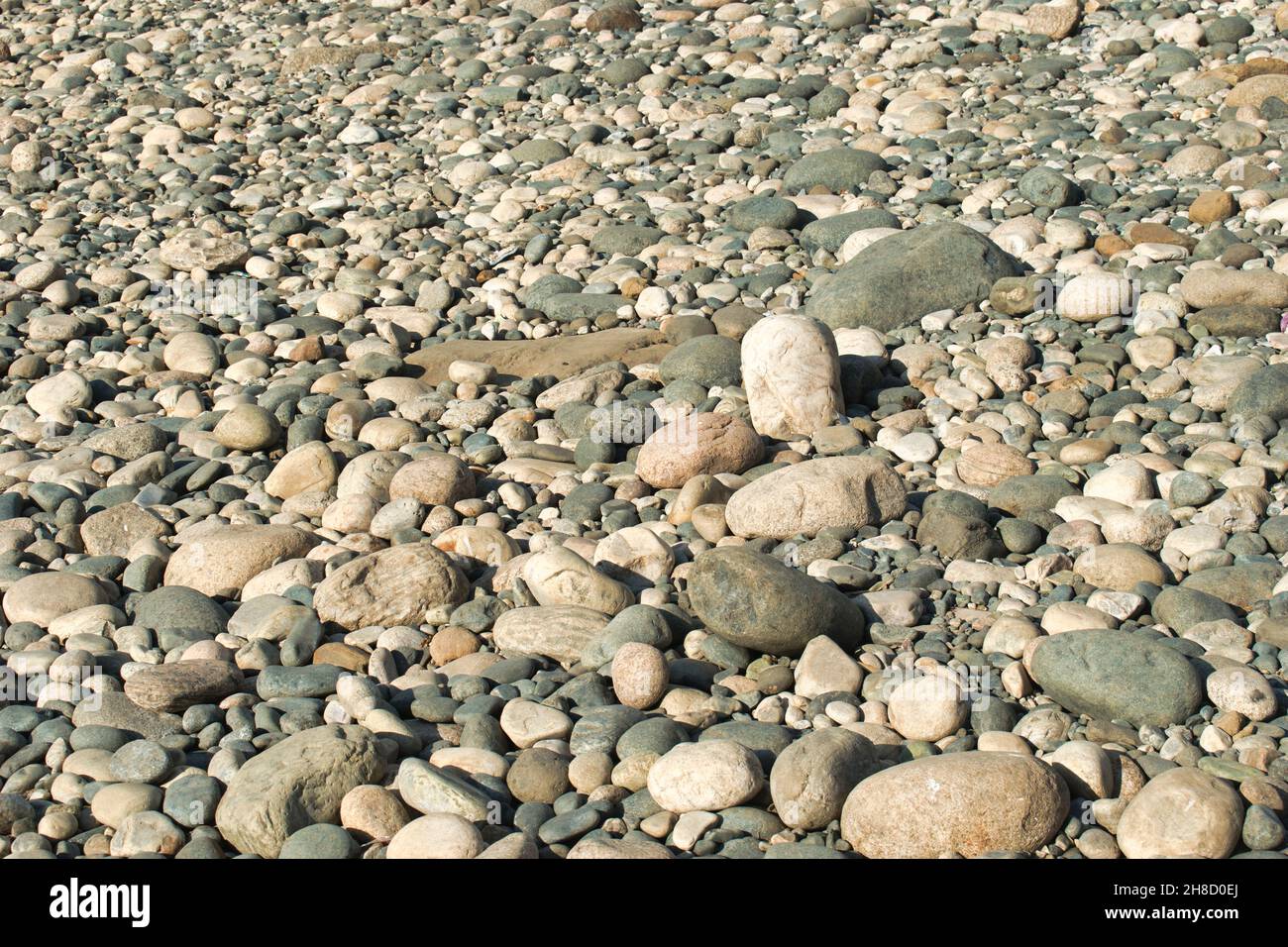 Kieselsteine sind die Felsklaste mit einem Teilchen, das auf der Udden-Wentworth-Skala der Sedimentologie basiert. Stockfoto